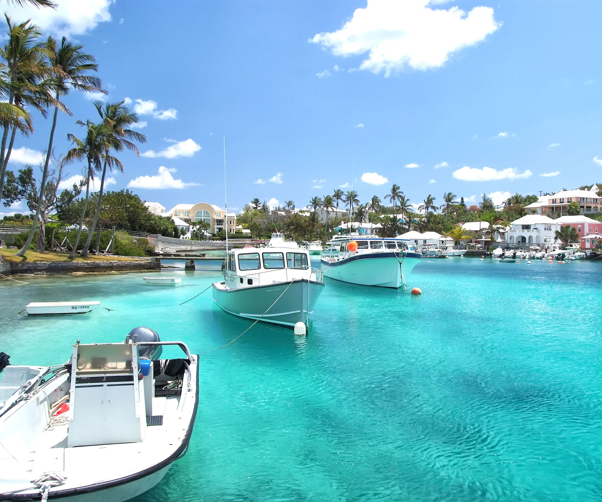 Bermuda harbour with boats and houses